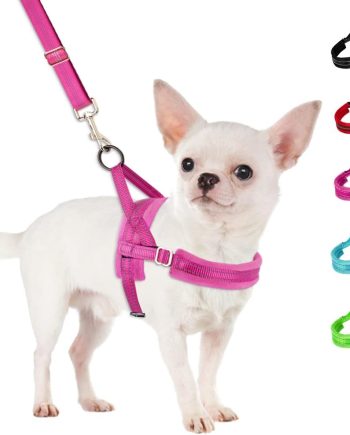 No Pull Small Dog Harness and Leash Set, Puppy Soft Vest Harness Neck & Chest Adjustable, Reflective Lightweight Harness & Anti-Twist Pet Lead Combo for Small Medium Dogs (Fuchsia, XXS)