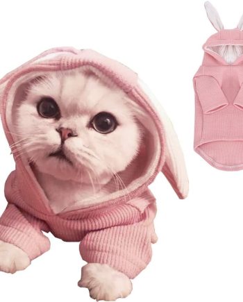 Dog Hoodies Sweatshirt with Bunny Ears Spring Puppy Clothes for Small Dog Girl Boy Soft Doggy Sweater Cat Apparel Pet Clothing for Kitten Pomeranian Chihuahua (Medium, Pink)