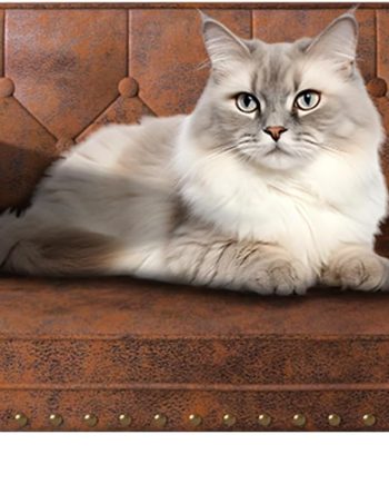 Dog Bed,Cat Bed,Dog Couch,Cat Couch,Puppy Bed,Pet Sofa,Pet Couch,Pet Bed for Cats, Wooden Frame and Suede Fabric,for Small Breeds Using (Coffee)