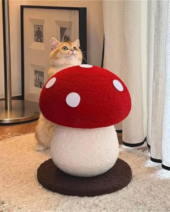 Mushroom Cat Scratcher, Cute Cat Scratching Post, Durable Sisal Rope Cat Scratching Board, Kitten Tree, Cat Toy for Cats to Play and Care for Their Claws, No Assembly Required