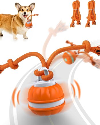 Pet Ball for Dogs, Dog Interactive Toys,Motion Activate Rolling Ball for Puppy/Small Dogs, Automatic Moving Toy,USB Rechargeable