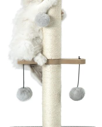 Cat Scratching Post,Small Scratch Post for Indoor Kittens and Small Size Cats,with Hanging Ball Toys,21inches,Grey