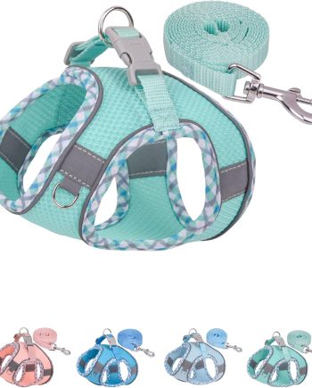 Dog Harness for Small Medium Dogs No Pull, Puppy Harness and Leash Set, Step in Dog Harness for Walking, Running, Training, Small Dog Vest(Green, S)