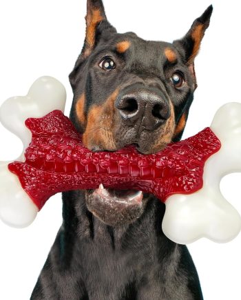 Tough Dog Toys, Toys for Aggressive Chewers Large Breed, Chew Dogs, Bone Toy Nylon Dogs Almost Indestructible
