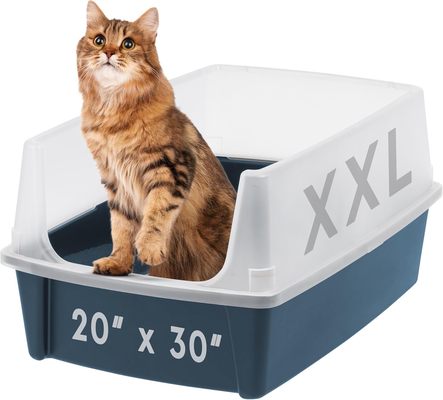 XX-Large Cat Litter Box, Open Top Extra Large Litter Box for Big Cats and Multi-Cat Households, High Sided Scatter Shield, Easy to Clean, 30" L x 20" W x 14" H, Navy