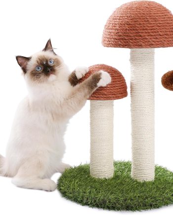Cat Scratching Post, Mushroom Tall Cat Scratcher Featuring with Natural Sisal Scratching Poles and Interactive Toy Ball for Kittens and Small Cats (Brown)