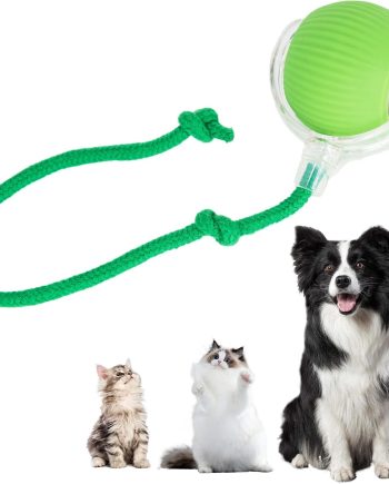 Interactive Cat Toys Ball for Indoor Cats, Interactive Rolling Small Dog Cat Toys Automatic Self Moving, 360??,Electric Balls??Fast Rolling??Smart Automatic Rolling Pet Ball (Green)