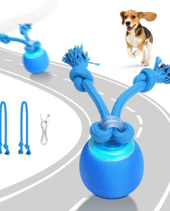 Interactive Dog Toys Electric Dog Ball Touch Wake-up with Dogs Chirping Rechargeable Toys Indoor & Outdoor Fun