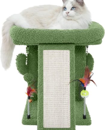 Cactus Cat Tree Tower with Cat Scratching Post for Indoor Cats,Activity Centre Climbing Tree Cat Furniture with Playful Toy Balls,Green
