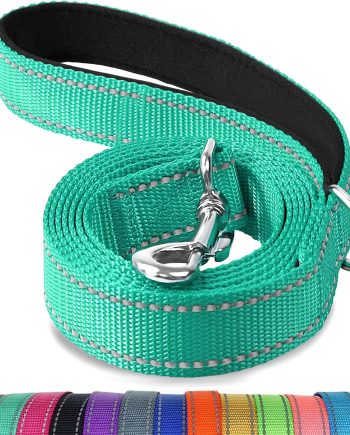Double-Sided Reflective Dog Leash, 6 FT/5 FT/4 FT, Padded Handle Nylon Heavy Duty Leashes for Medium & Large Dogs Walking, Teal, 6FT