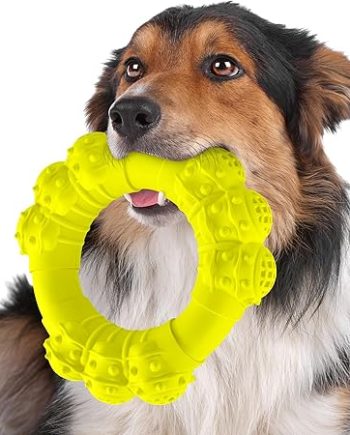 Indestructible Dog Chews - Super Duty Chew Toys for Aggressive Dogs, Puppy Teething Relief & Interactive Play