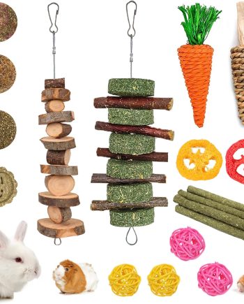 20 PCS Bunny Chew Toys for Teeth, Natural Rabbit Toys Apple Wood Grass Timothy Sticks Chew and Treat for Guinea Pigs Hamster Chinchillas