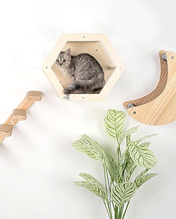 3-Piece Cat Wall Furniture Set - Hammock, Hexagon House, Climbing Steps - Wall Mounted Shelves, Perches, and Beds - Modern Design for Large Cats and Kittens & Spare Hammock Fabric Included