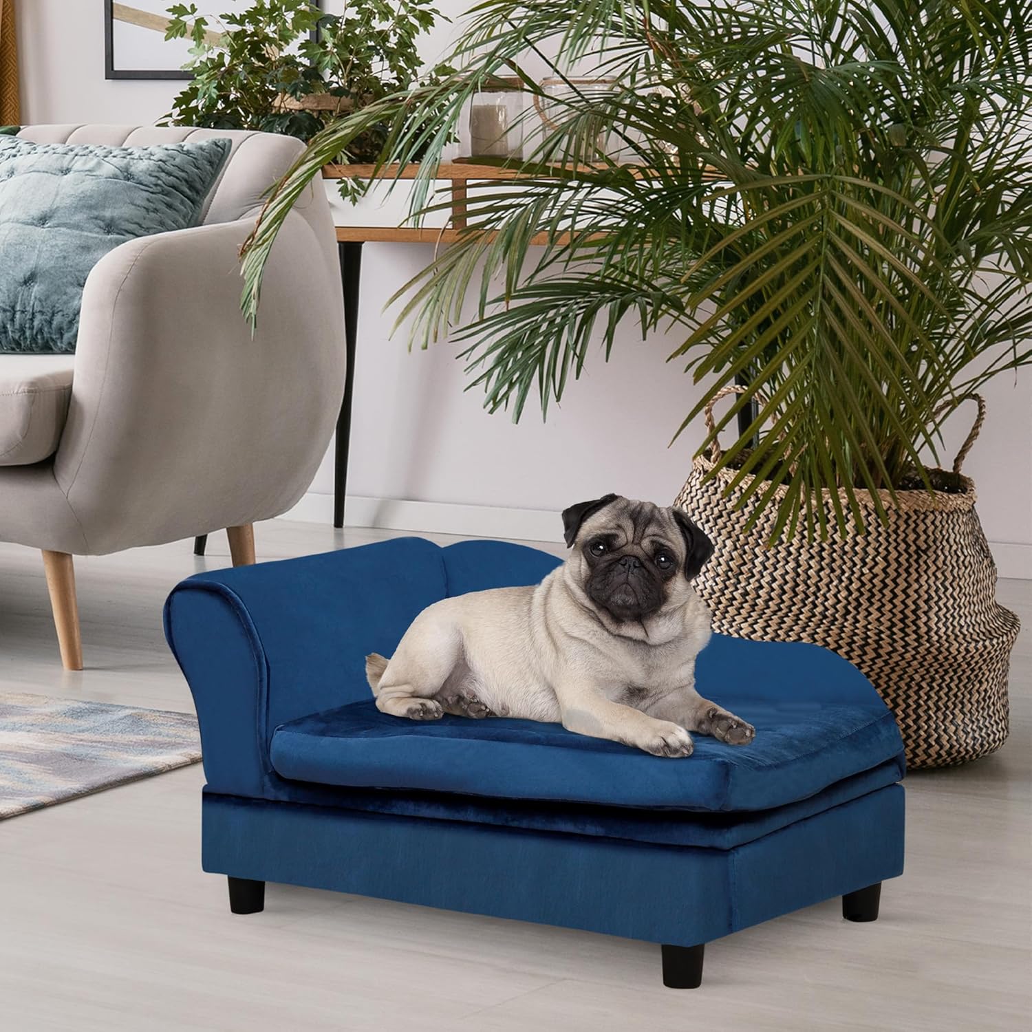 Luxury Fancy Dog Couch with Hidden Storage, Small Dog Sofa Bed with 2" Soft Foam, Modern Pet Furniture for Puppies & Little Breeds, Blue