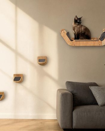 Cat Wall Shelves with 3 Steps - Wall Mounted Cat Furniture for Climbing and Lounging -Set of 3 Indoor perches by